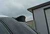 Audi - S4 / A4 S-Line B7 Avant - Spoiler Cap